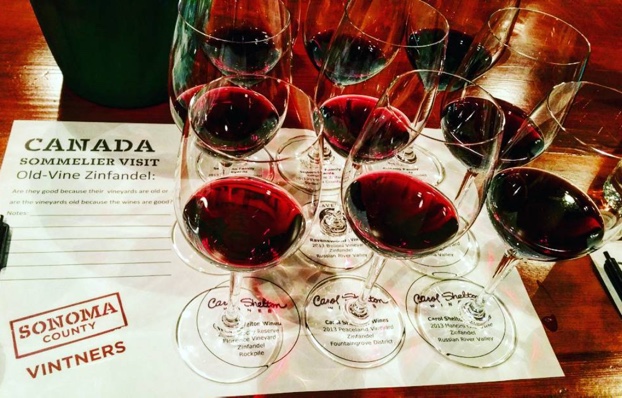 eroing-in-on-old-vine-zinfandel-significance-sonomavintners-seghesio-ravenswood-cbsbrands-wildthingzin