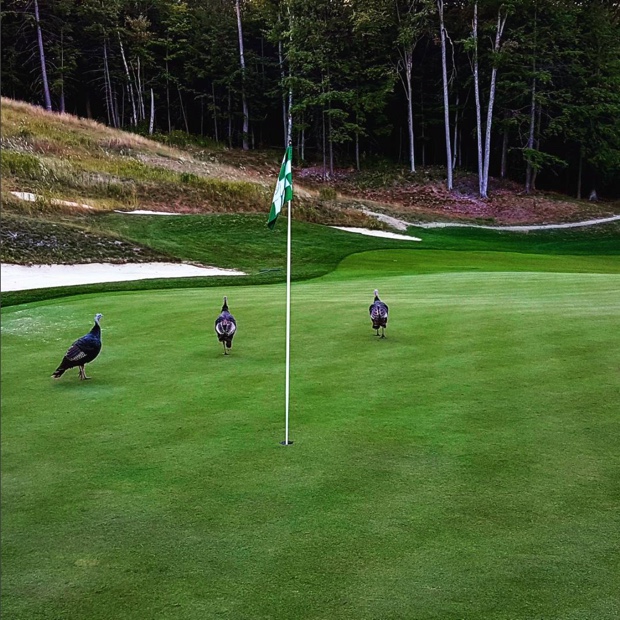 Can somebody get the pin? The ninth green at Summit Golf & Country Club