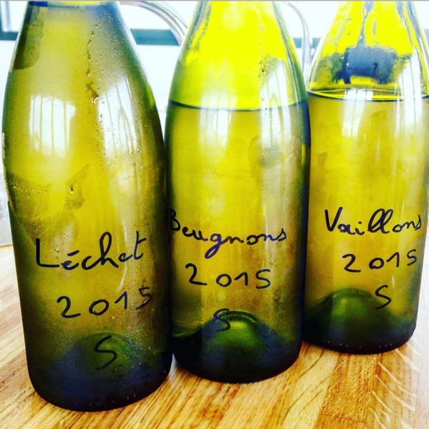 a-preview-of-a-much-needed-friendly-vintage-with-sebastien-dampt-alors-remycharest